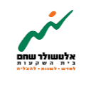 אלטשולר